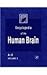 Encyclopedia of the Human Brain, Four-Volume Set