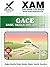 GACE Basic Skills 200, 201, 202 (XAM GACE) by Wynne, Sharon (2008) Paperback