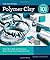 Polymer Clay 101 by Angela Mabray (27-Jan-2010) Spiral-bound by Angela Mabray