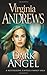 Dark Angel (Casteel Family 2) by Virginia Andrews (4-Oct-2010... by V.C. Andrews