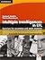 Multiple Intelligences in EFL: Exercises for Secondary and Adult Students (Helbling Languages) 1st edition by Puchta, Herbert, Rinvolucri, Mario (2007) Paperback