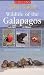 Wildlife of the Galapagos