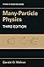 Many-Particle Physics (Phys...
