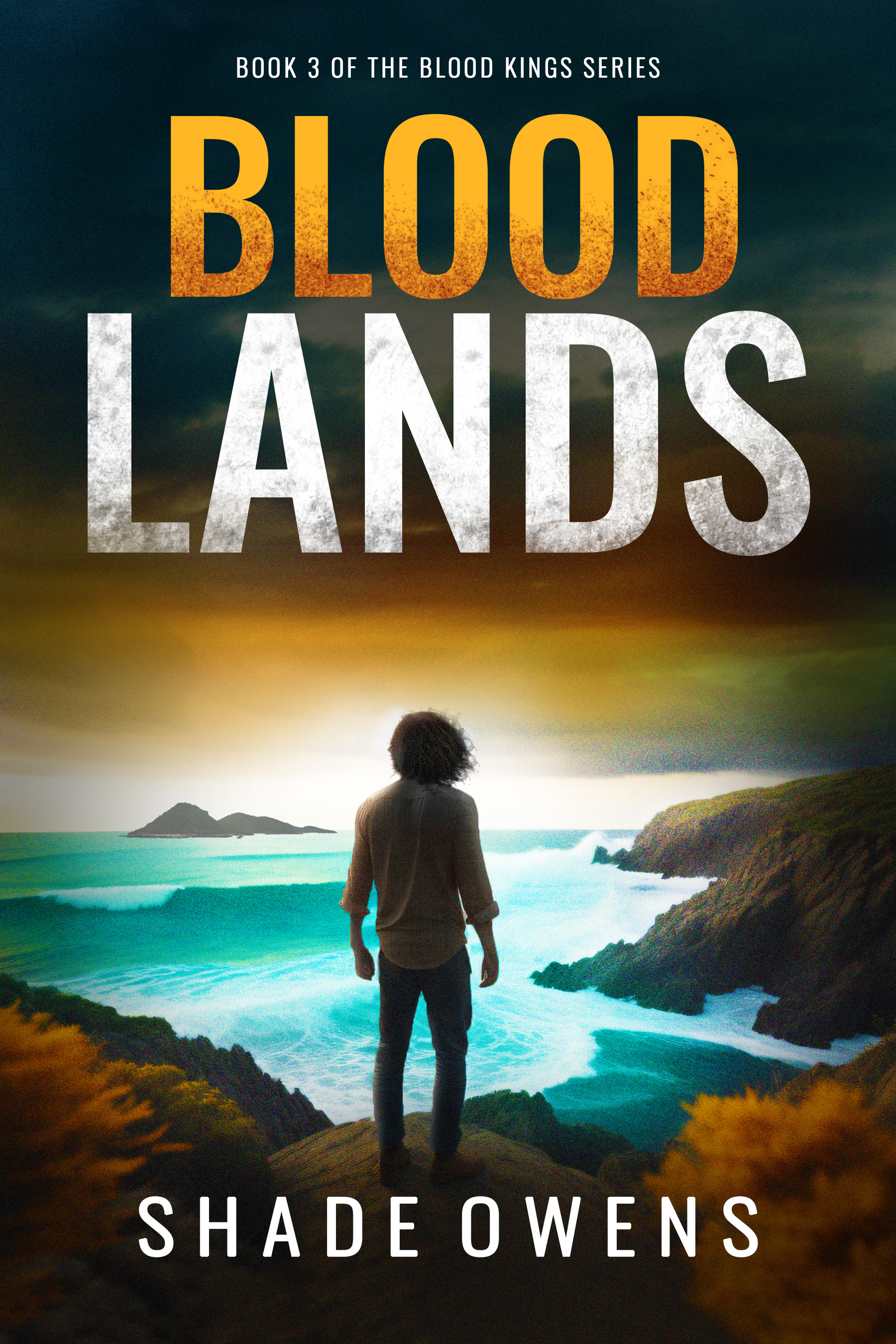 Blood Lands (Blood Kings, #3)