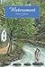 Watersmeet by Janet Sawyer