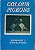 Colour Pigeons