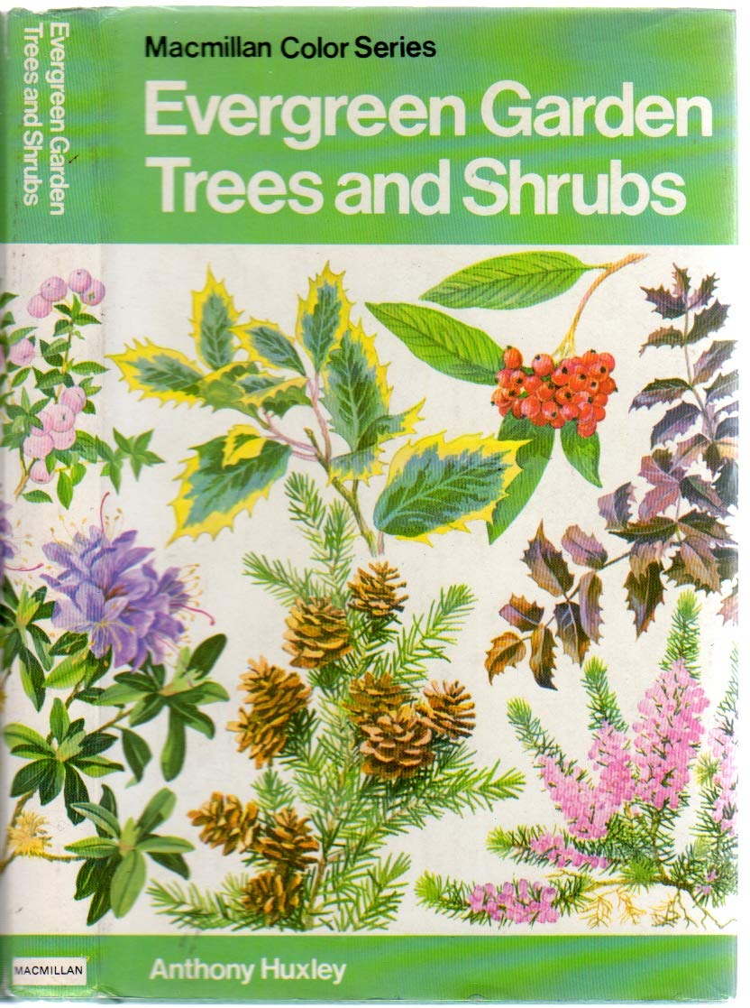 Evergreen garden trees and shrubs in colour (Hardcover)