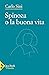 Spinoza o la buona vita