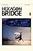 Hexagon Bridge #2 by Richard  Blake