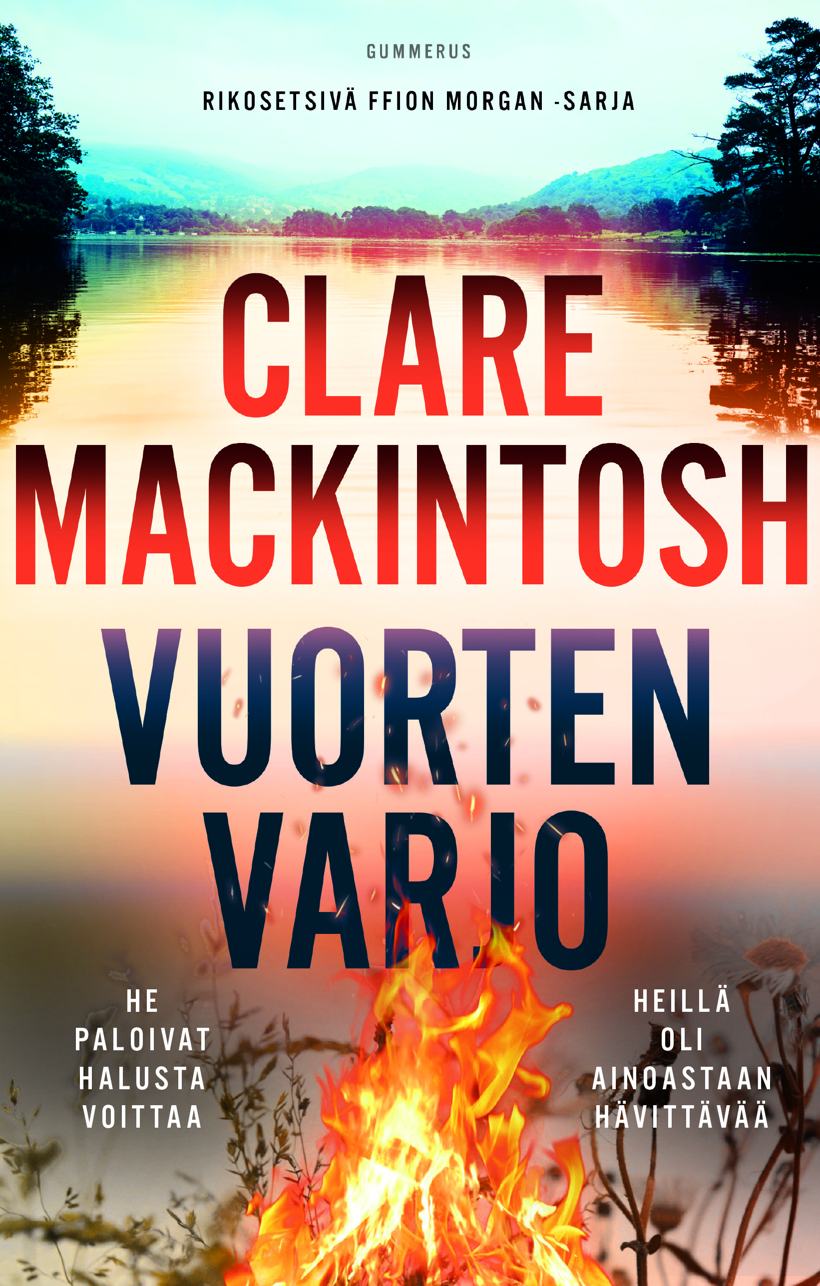 Vuorten varjo (DC Morgan, #2)