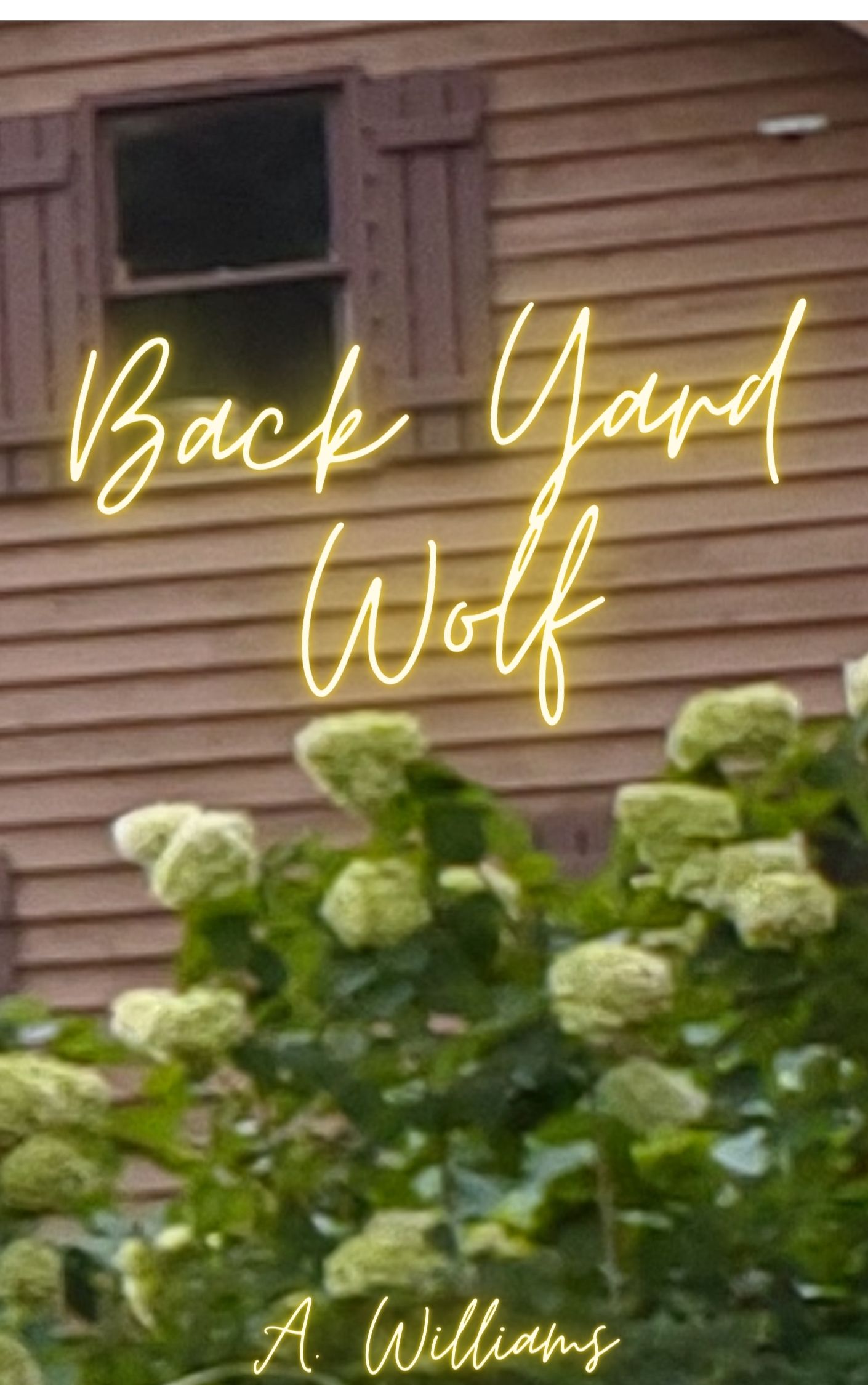 Back Yard Wolf: M/M Wolf Shifter Fated Mates Romance