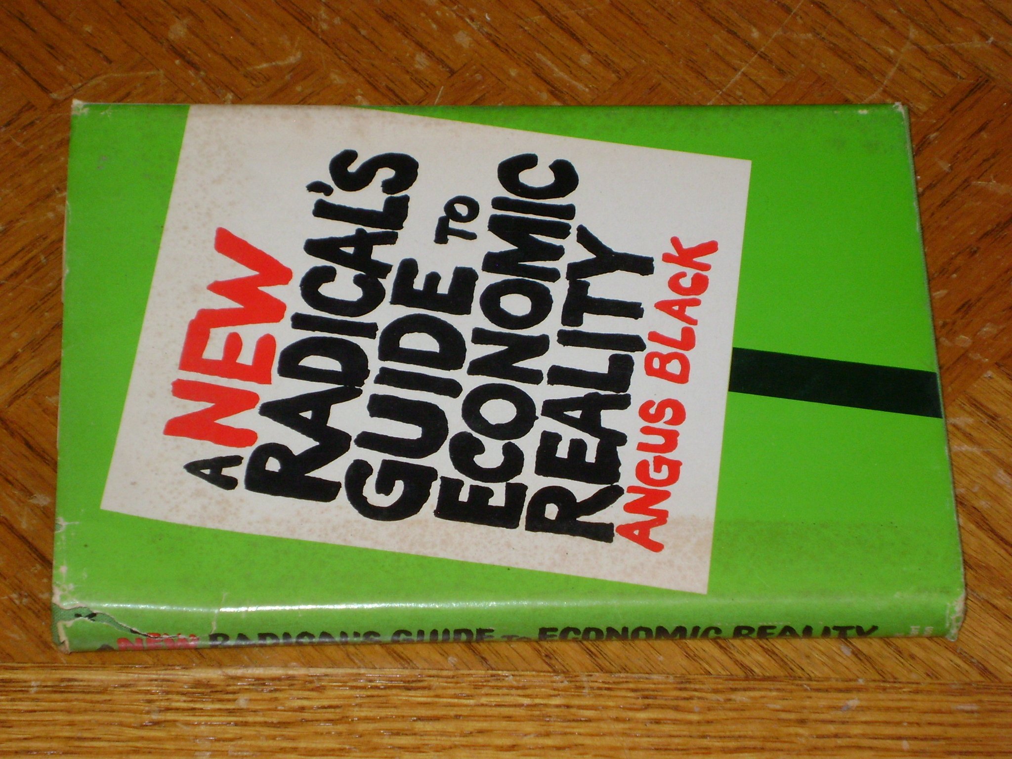 A new radical's guide to economic reality (Hardcover)