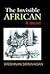 The Invisible African by Krishnan Srinivasan