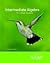 Intermediate Algebra for College Students , 7TH EDITION