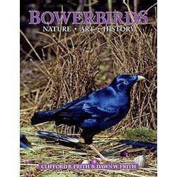 Bowerbirds: Nature, Art & History by Clifford B. Frith, Dawn W. Frith (January 1, 2008) Hardcover