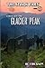 The Stark Files: Crash on Glacier Peak by RC Erickson (2010-07-19)