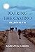 Walking the Camino: On Eart...