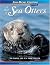 A Raft of Sea Otters by León, Vicki (April 10, 2005) Paperback by Vicky León
