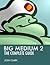 Big Medium 2: The Complete Guide