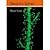 Dendritic Spines [HARDCOVER] [2010] [By Rafael Yuste]