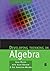 Developing Thinking in Algebra (Published in association with The Open University) by John Mason (2005-04-23)