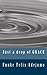 Just a drop of grace by Funke Felix-Adejumo (2010-10-29)