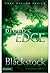 River's Edge by Terri Blackstock