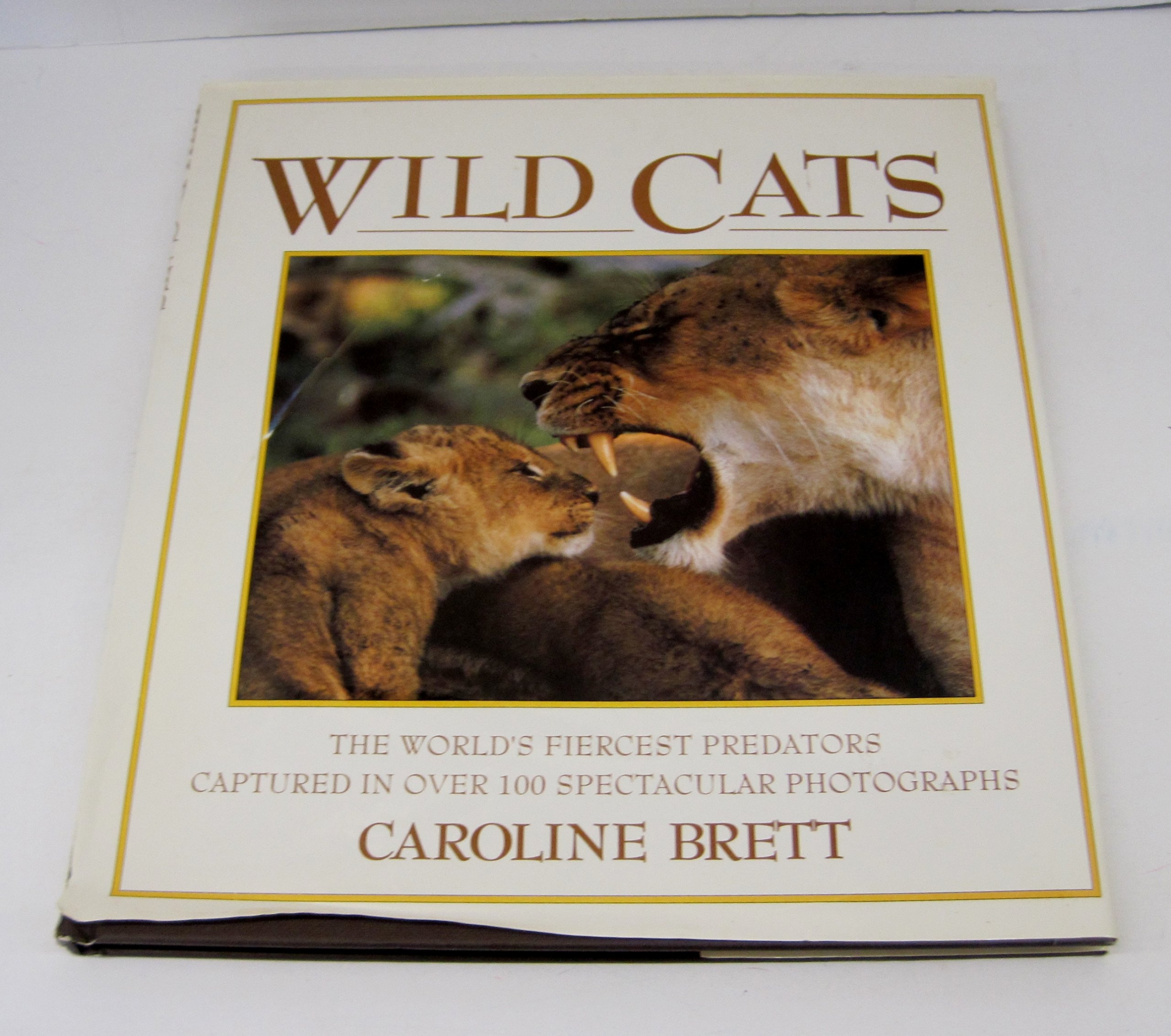 Wild Cats (Hardcover)
