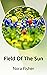 Field Of The Sun
