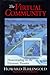 The Virtual Community: Homesteading on the Electronic Frontier by Howard Rheingold (1993-10-30)