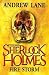 Young Sherlock Holmes 4: Fire Storm by Lane, Andrew (2011) Hardcover