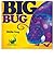 Big Bug, Little Bug by Paul Stickland (2010-04-01)