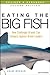 Eating the Big Fish: How Challenger Brands Can Compete Against Brand Leaders by Adam Morgan (2009-02-17)