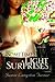 Sometimes a Light Surprises by Jamie Langston Turner (1-Jun-2009) Paperback