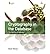 [Cryptography in the Database: The Last Line of Defense] [Author: Kenan, Kevin] [October, 2005]