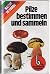 Pilze bestimmen und sammeln