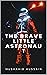 The Brave Little Astronaut by Mushahid Hussain