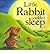 Little Rabbit Couldn't Sleep (Mini Board Books) by Beth Shoshan (2011-02-20)