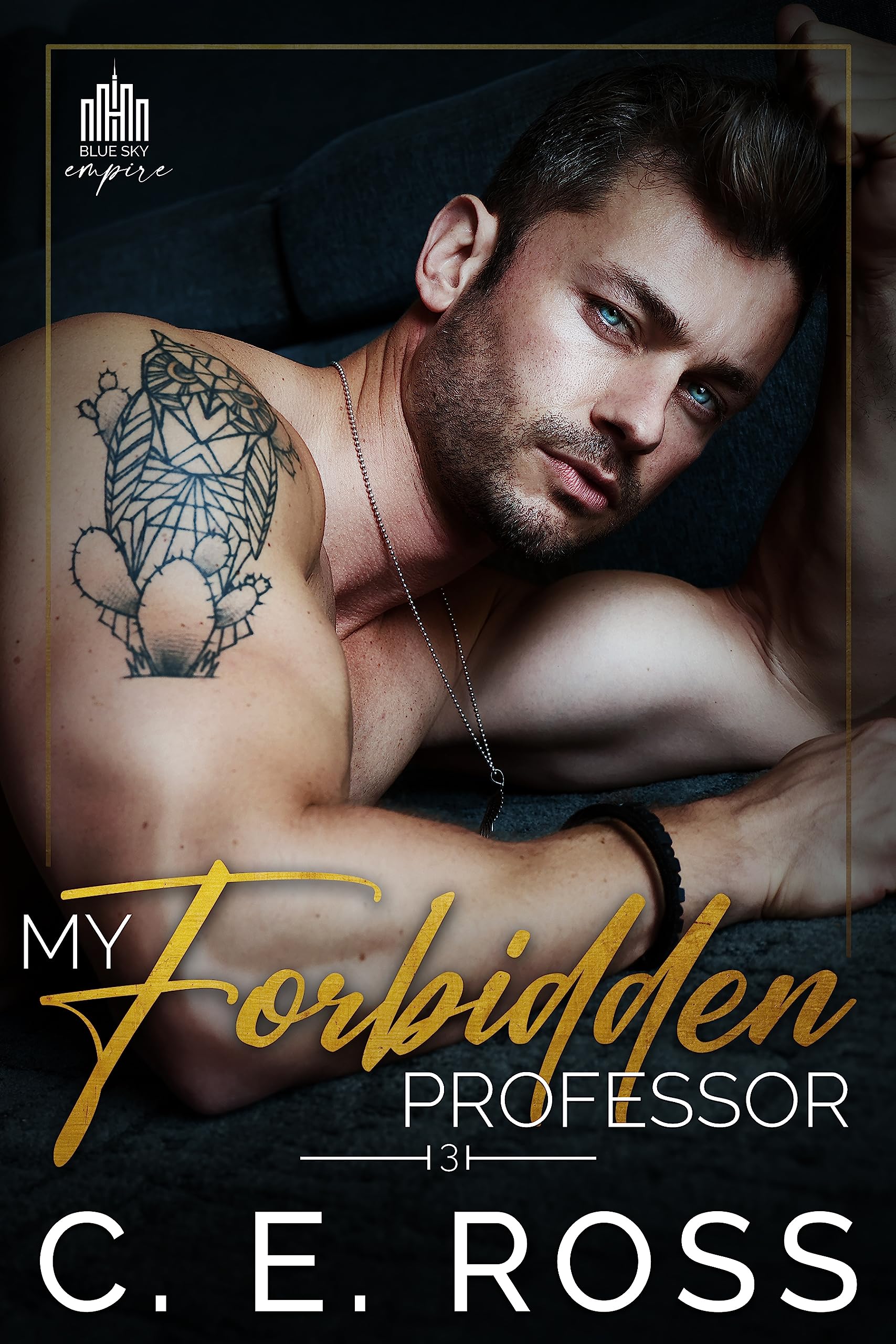 My Forbidden Professor (Blue Sky Empire #3)