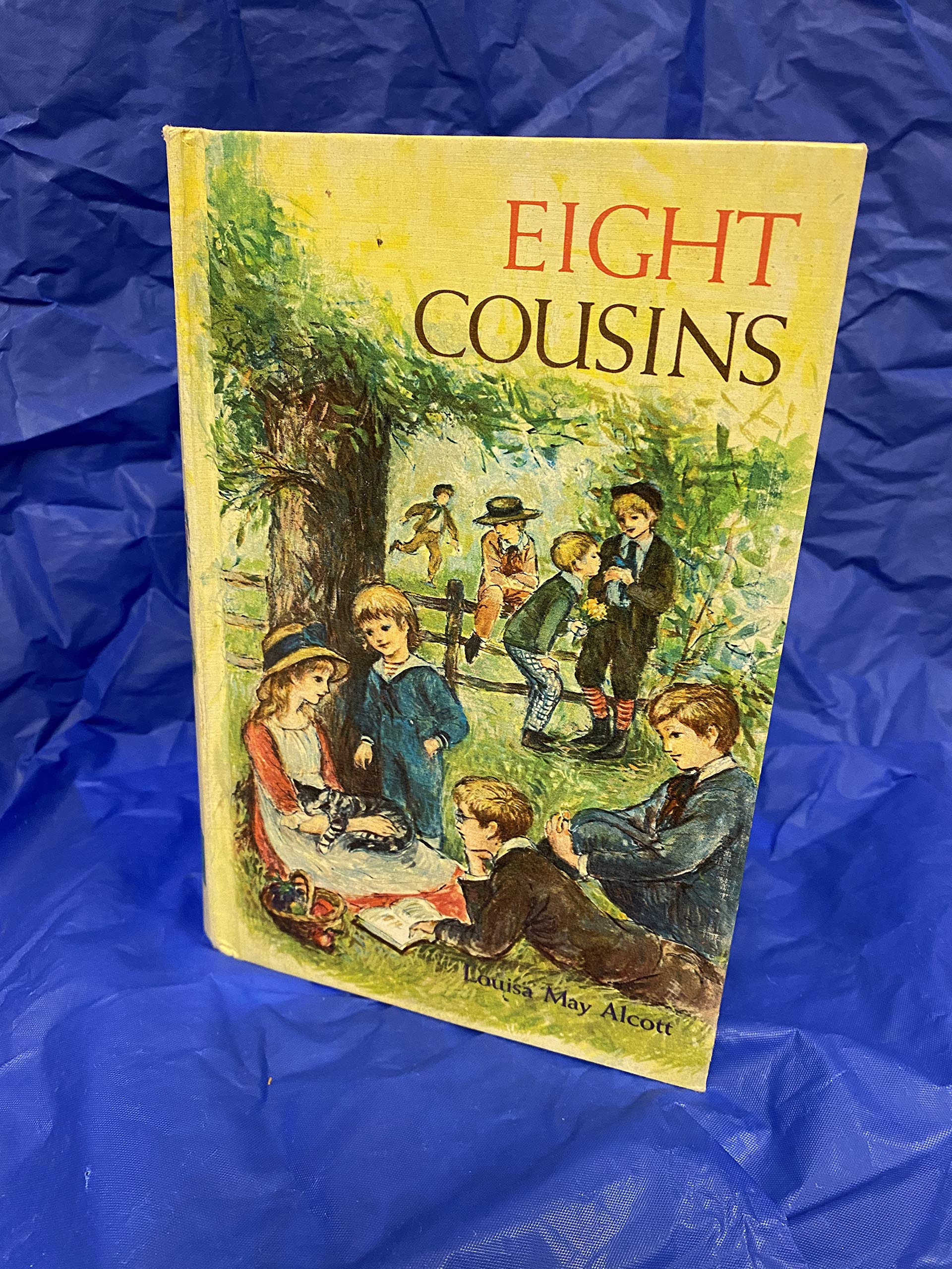 Eight Cousins