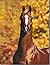 Arabian Horse Times: Volume...