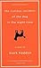 The Curious Incident of the...