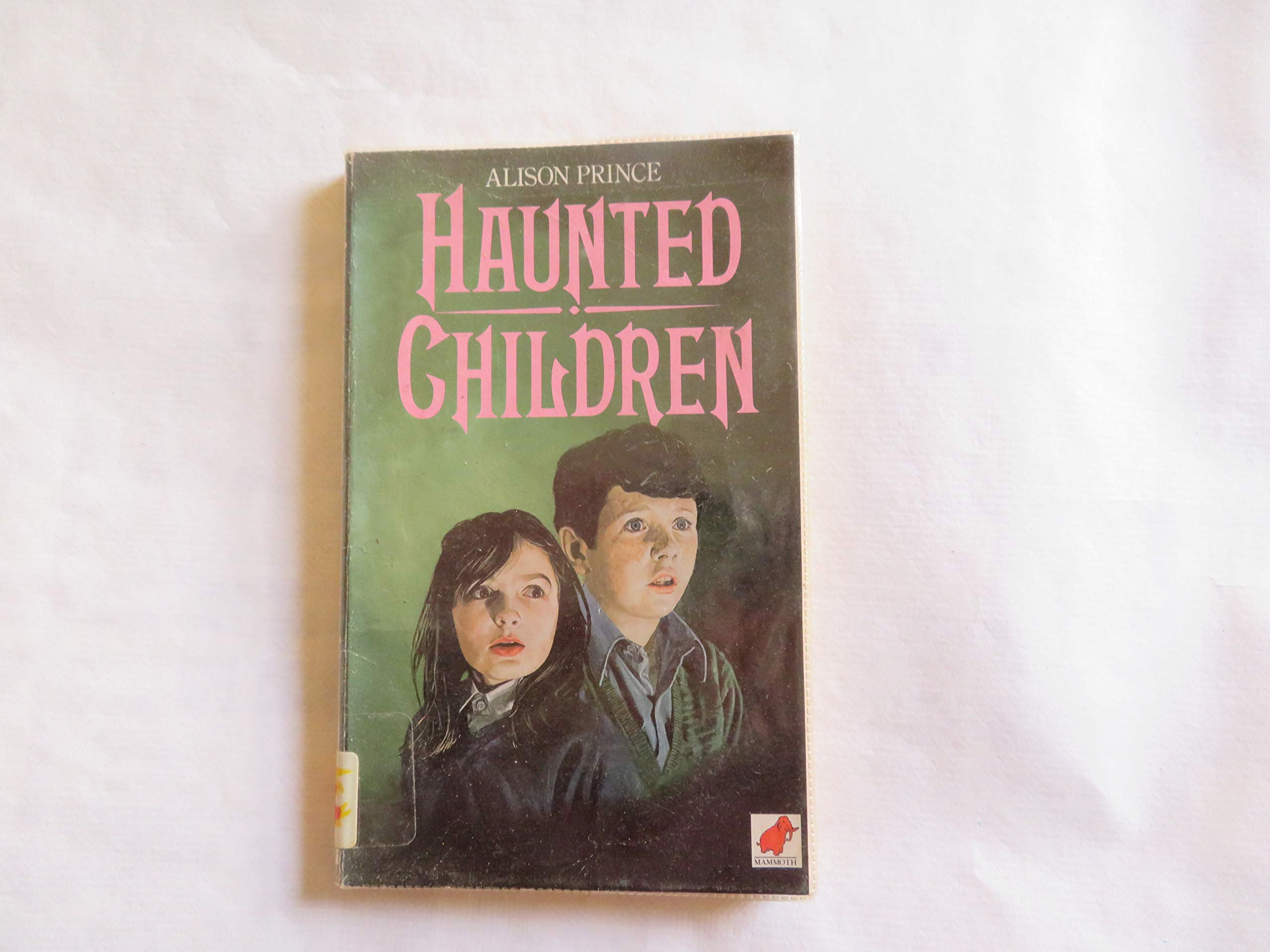 Haunted Children (Paperback)