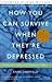 How You Can Survive When They're Depressed 1st (first) edition Text Only