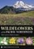 Wildflowers of the Pacific ...