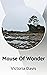 Mouse Of Wonder