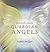 The Book of Angels:How to i...