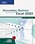 Succeeding in Business with Microsoft Office Excel 2003 (06) ... by Debra Gross