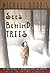 Sees Behind Trees by Michael Dorris (1900-01-01)