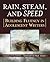 Rain, Steam, and Speed: Building Fluency in Adolescent Writers 1st edition by Fleming, Gerald, Pike-Baky, Meredith (2004) Paperback